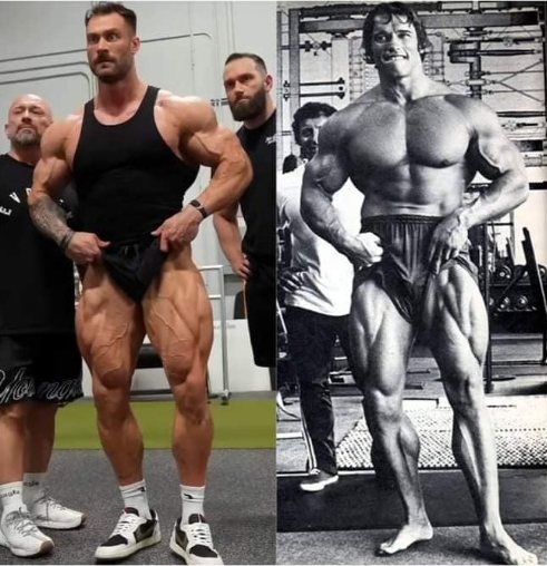 И Арнольд и Крис Бамстед на этом фото выглядят потрясающе, но одного взгляда на их ноги достаточно чтобы понять - только накачав камбаловидные мышцы ты сможешь носить шорты без без стыда.