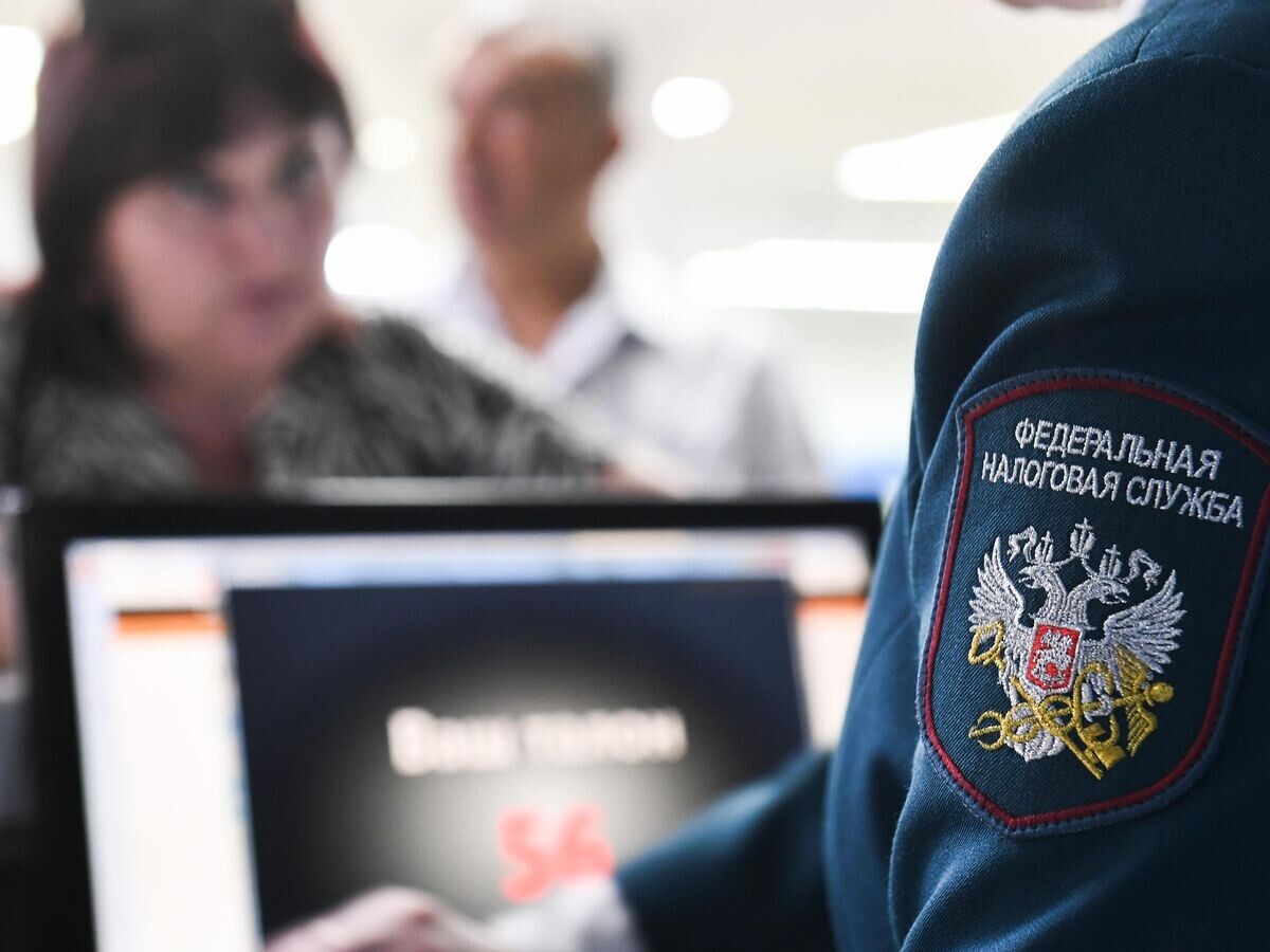    Работа инспекции Федеральной налоговой службы РФ© РИА Новости / Константин Михальчевский
