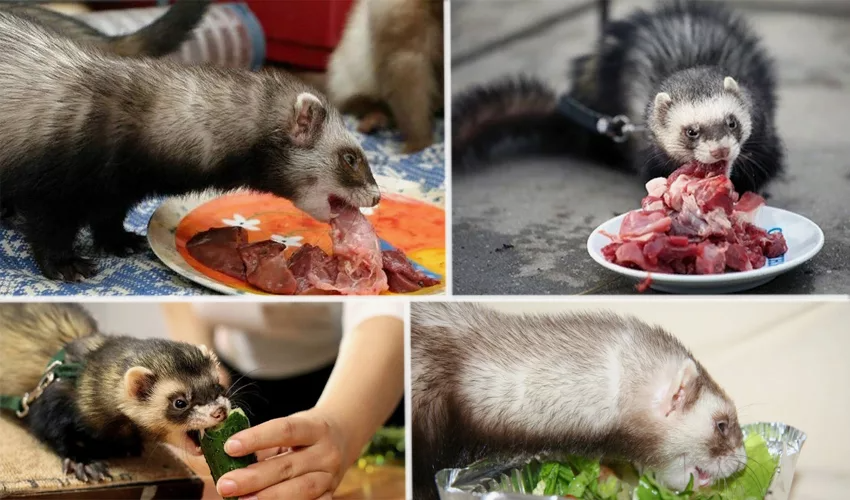 Источник: яндекс картинки и доработка