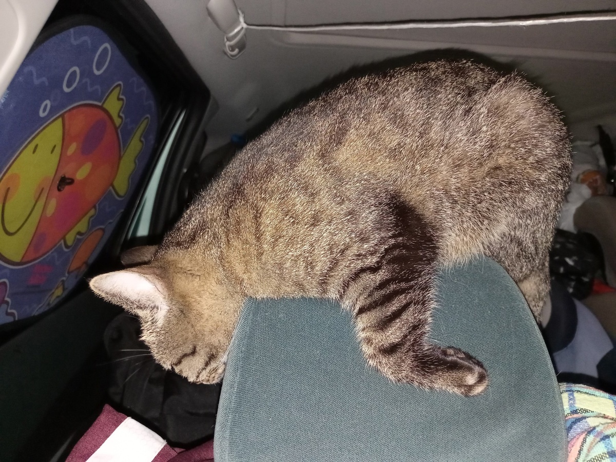 Мизуми отдыхает больше всех.