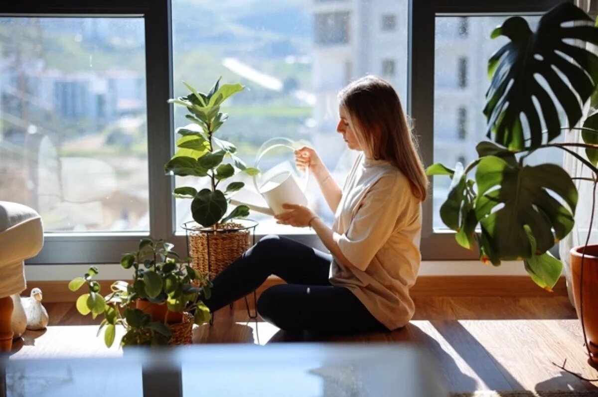    Лейте с умом.