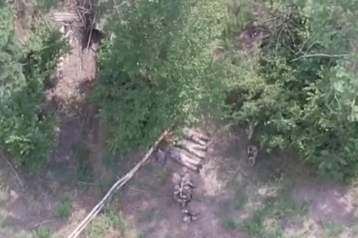    Боец ВСУ Безручков призвал напавших на Курскую область боевиков сдаваться