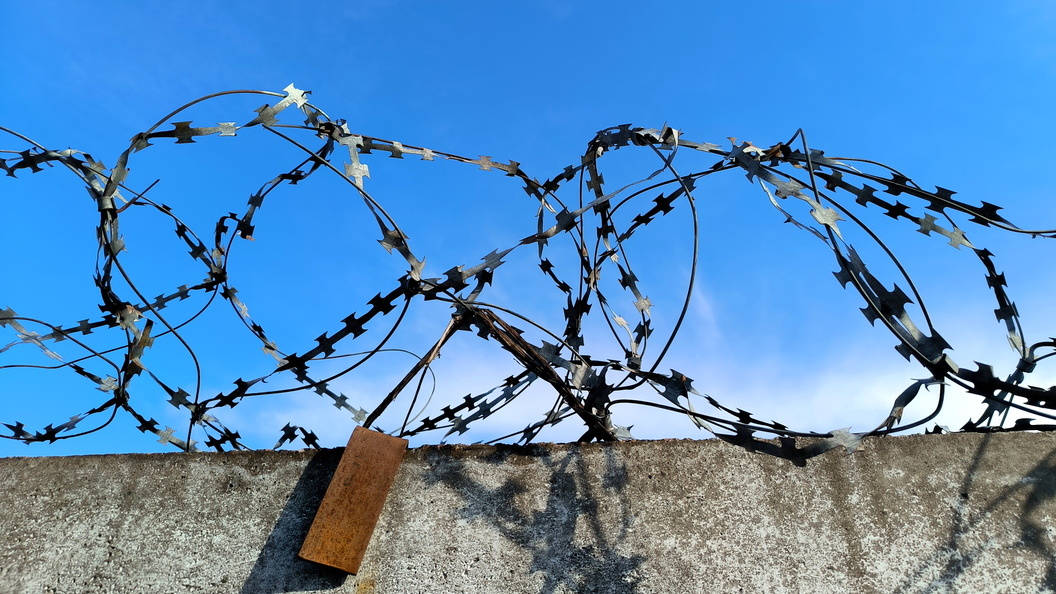    Фото: Maksim Konstantinov /Globallookpress/