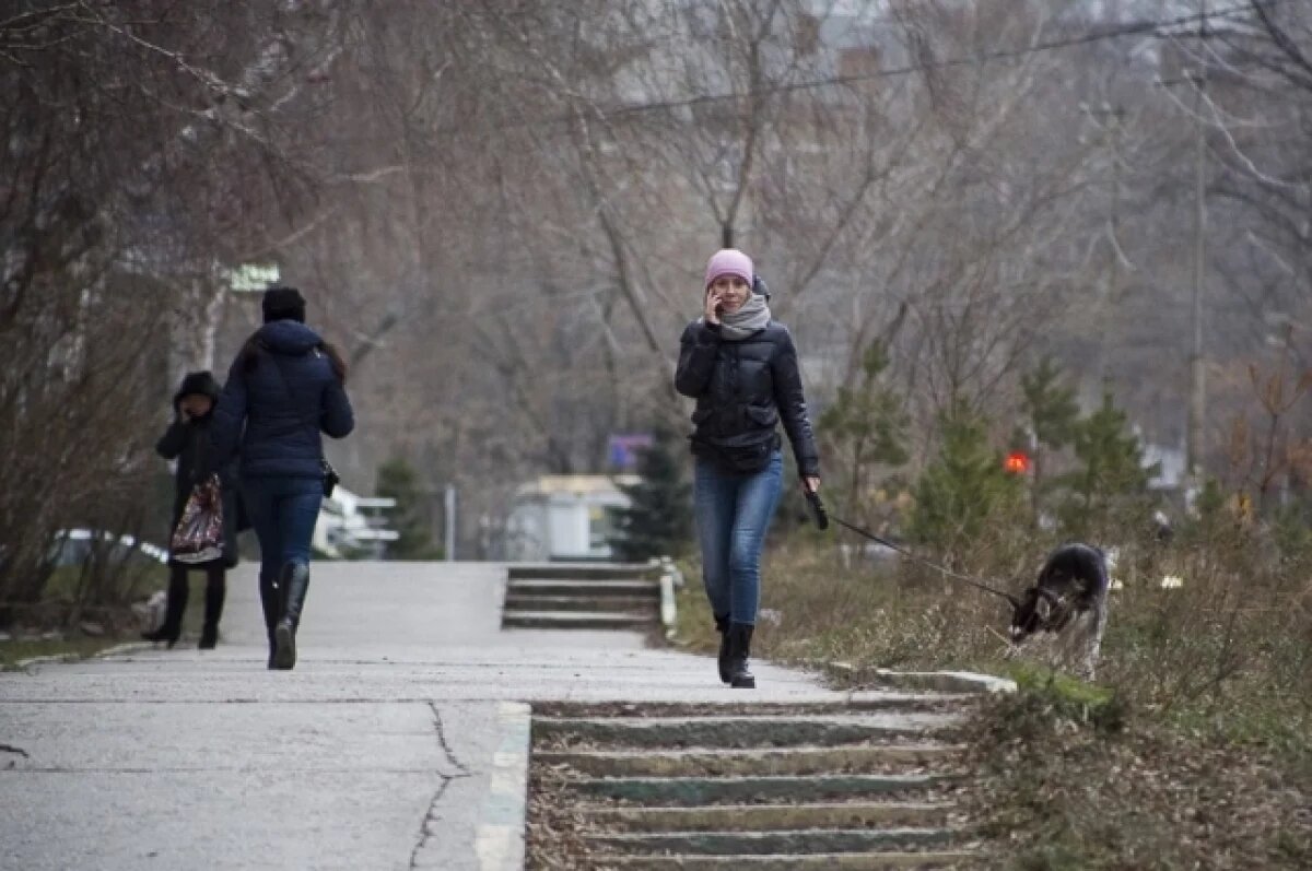    Дождь, снег и гололед ожидаются в Алтайском крае 29 октября