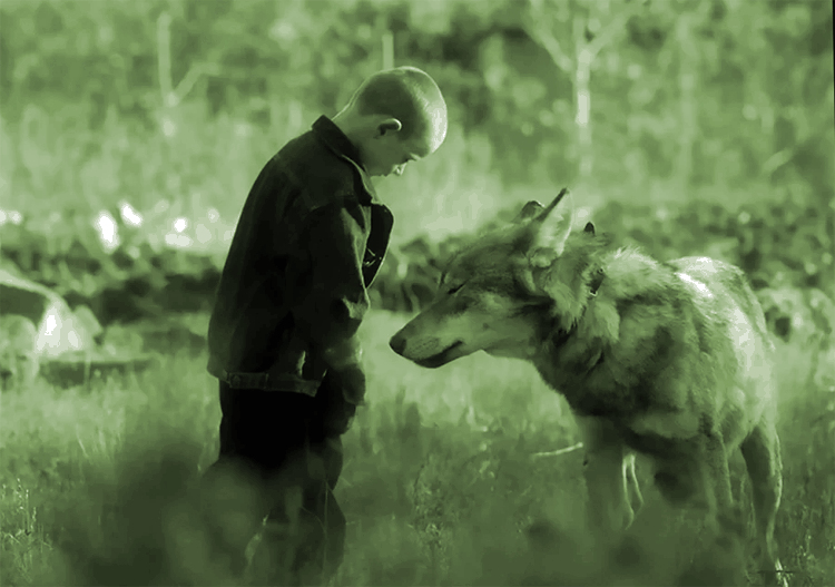 мальчик и волк