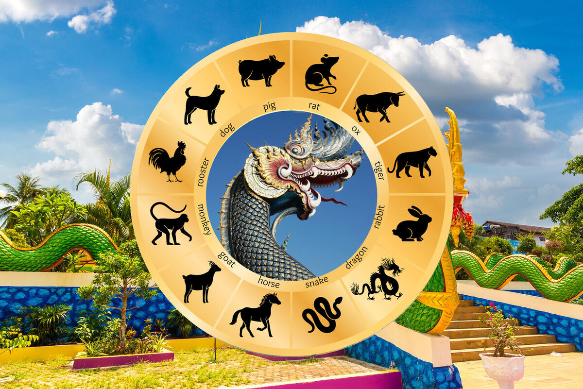    Тайский гороскоп на ноябрь 2024 для всех знаков восточного зодиака 123RF/legion-media.ru. Коллаж: 7Дней.ru