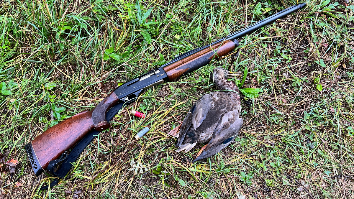 МР-153 на утиной охоте.