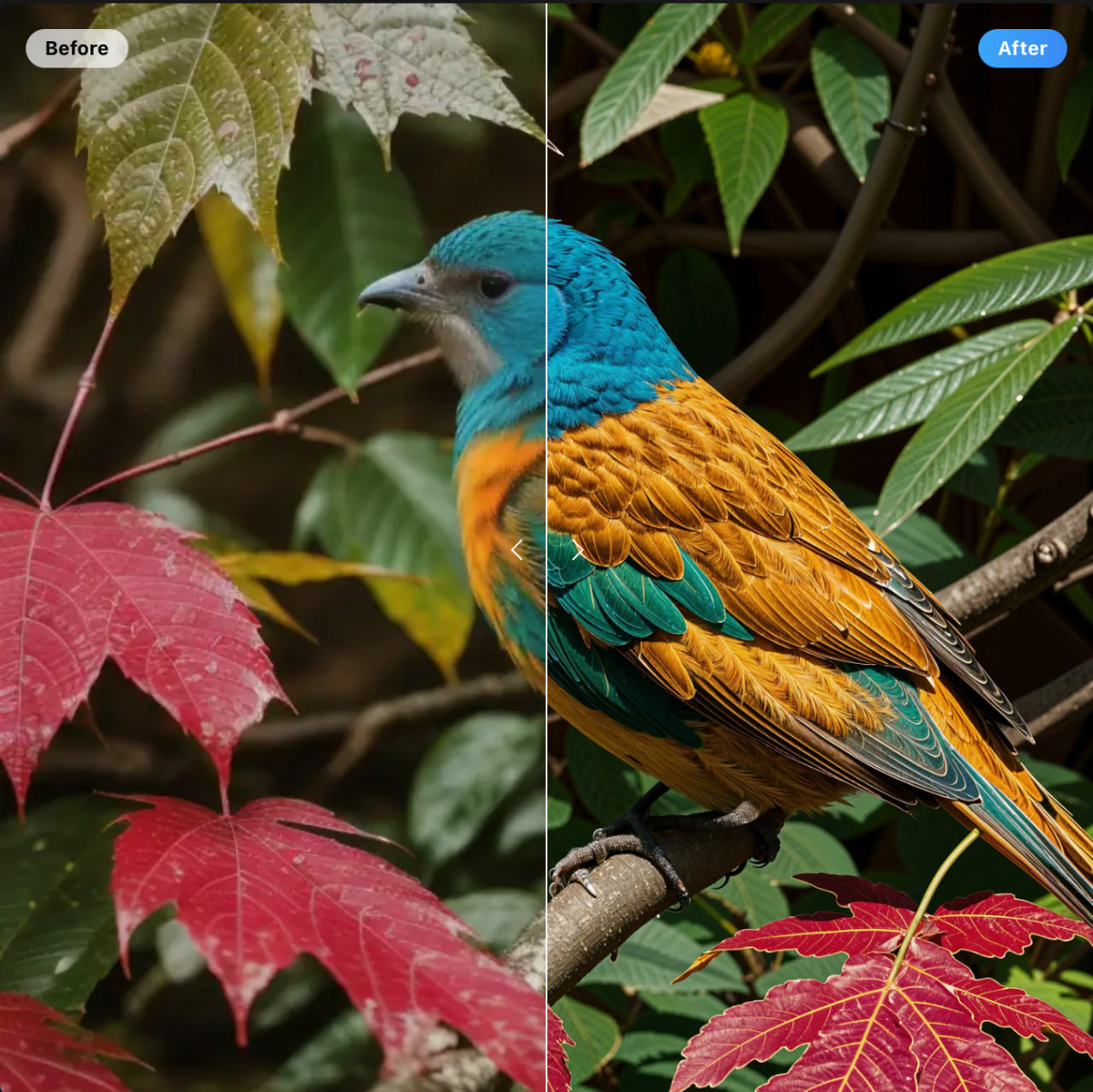 Нейросеть улучшила изображение в 16 раз