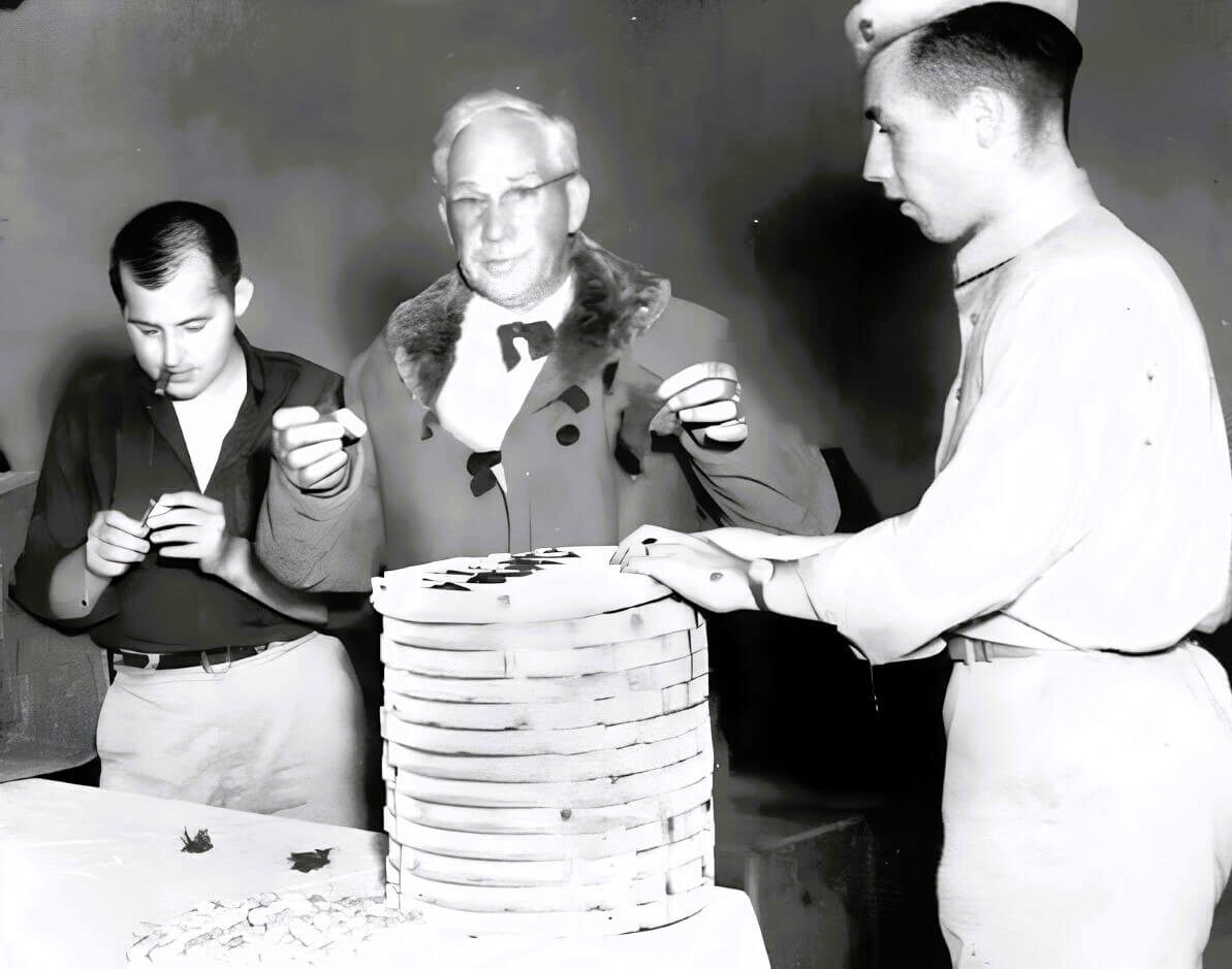 Л. Адамс загружает летучими мышами круглые лотки