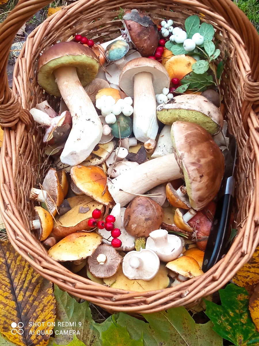 Татьяна Смирнова, Калининградская обл 27.10.2024