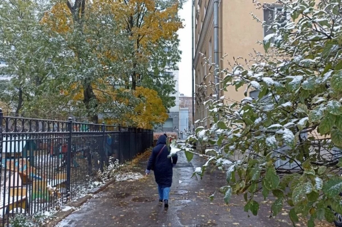    Похолодание до -10 градусов придет в Томск в середине ноября