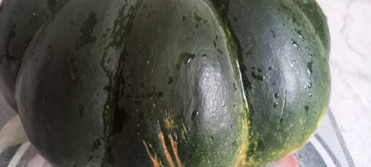 Тыква сорт сладкий пирог.