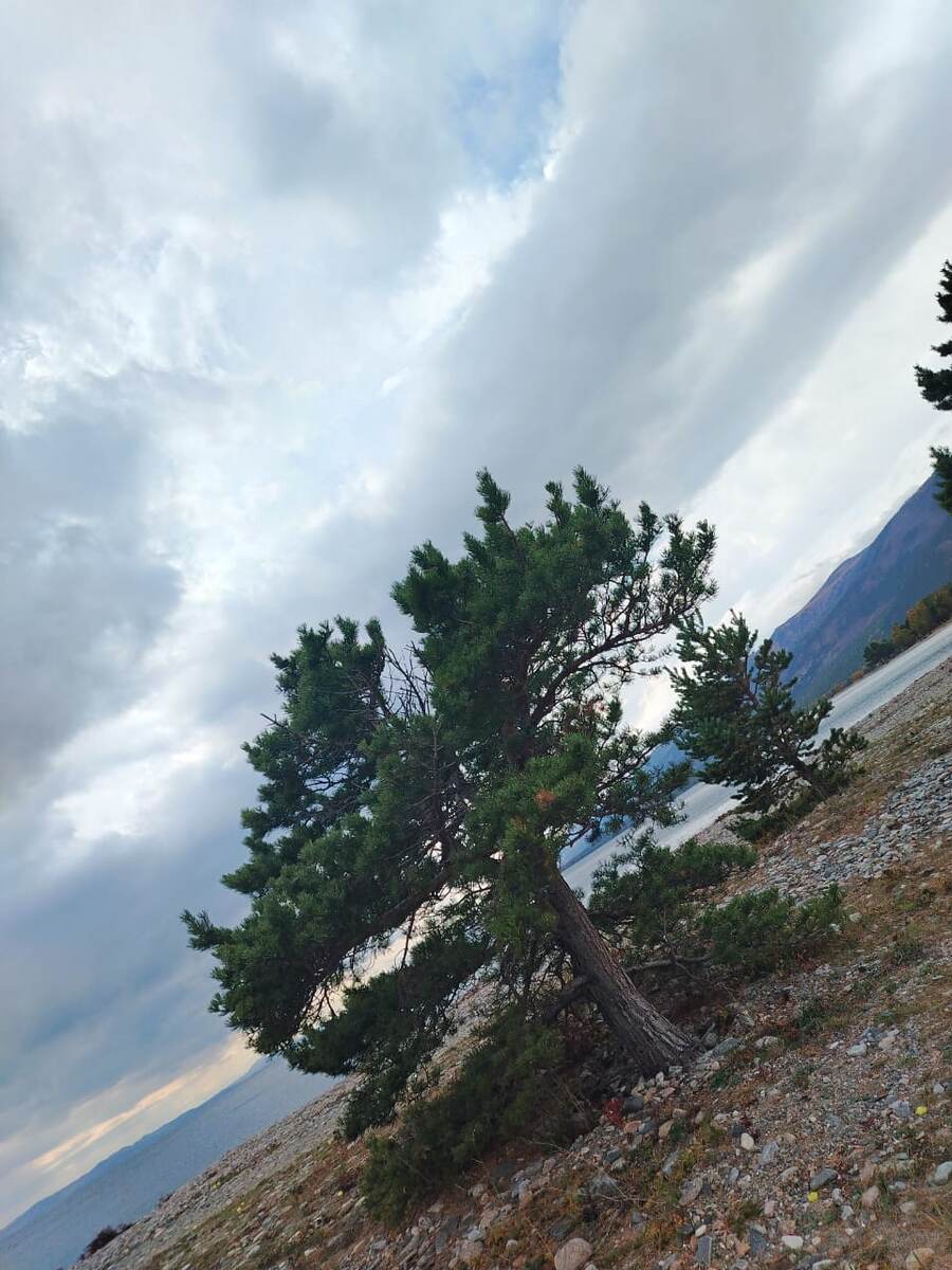 Фото из интернета