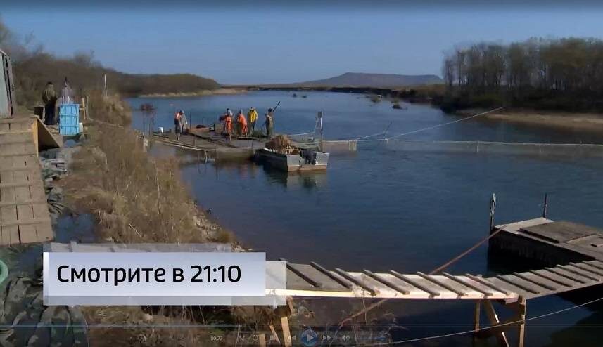    Источник фото: