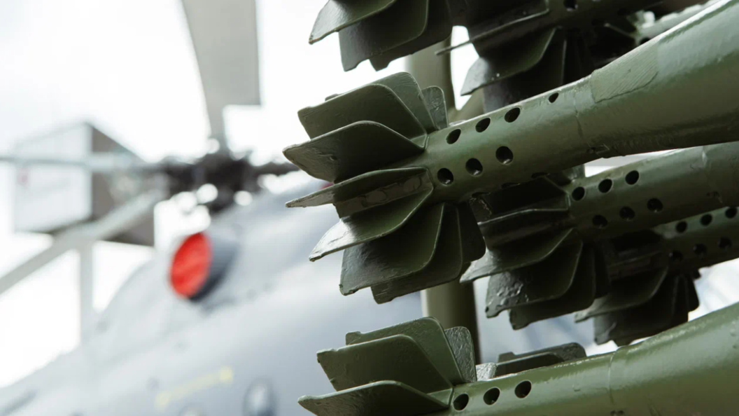    Фото: Dmitry Markov152/shutterstock