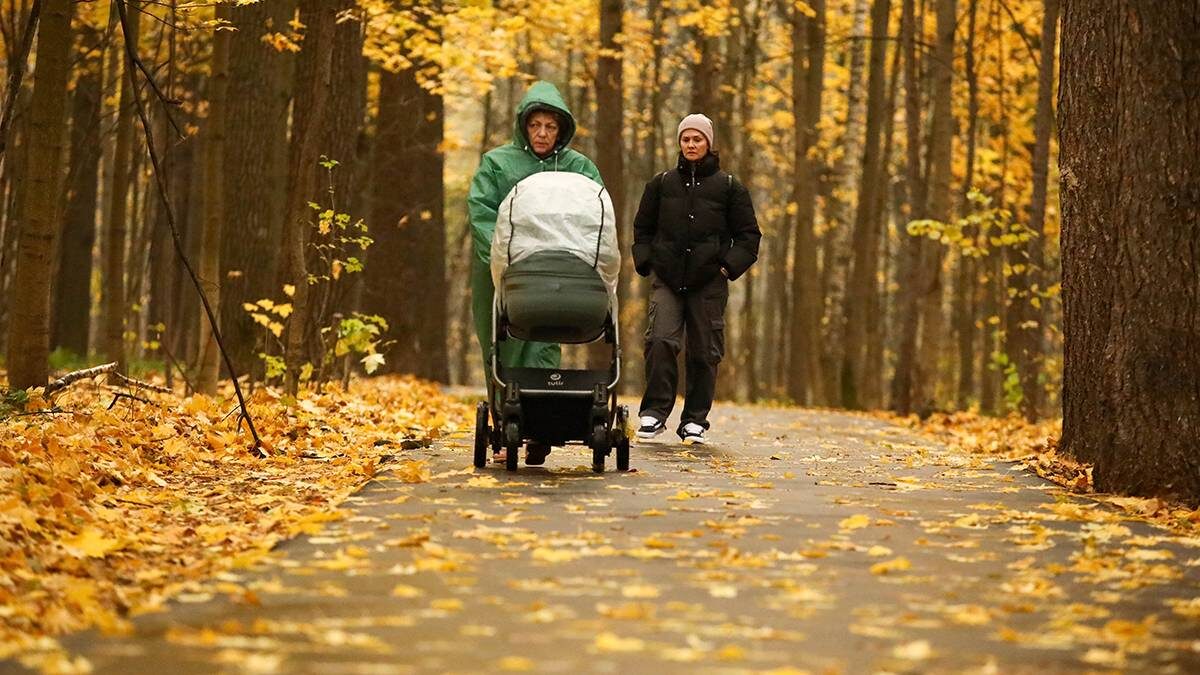    Фото: Артур Новосильцев / АГН Москва