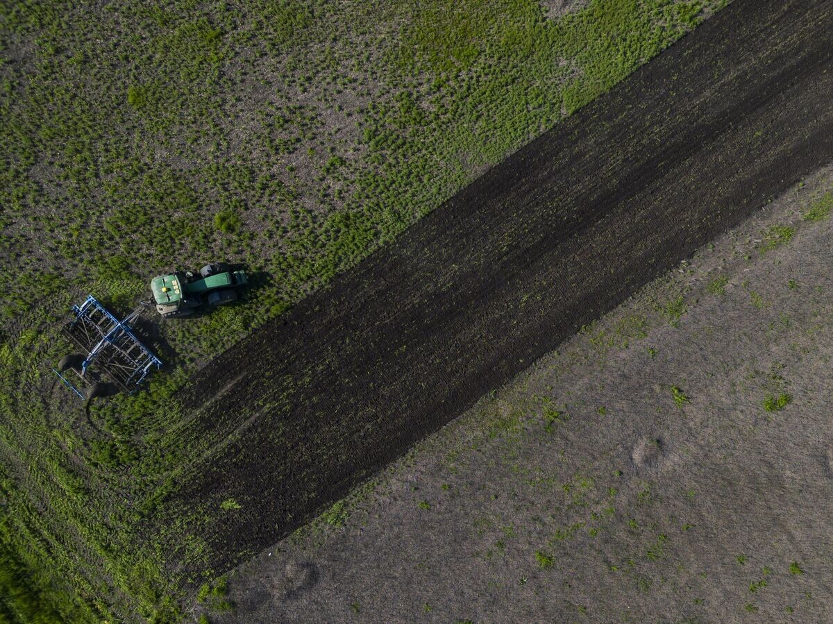    Трактор в поле на Украине© AP Photo / Bernat Armangue