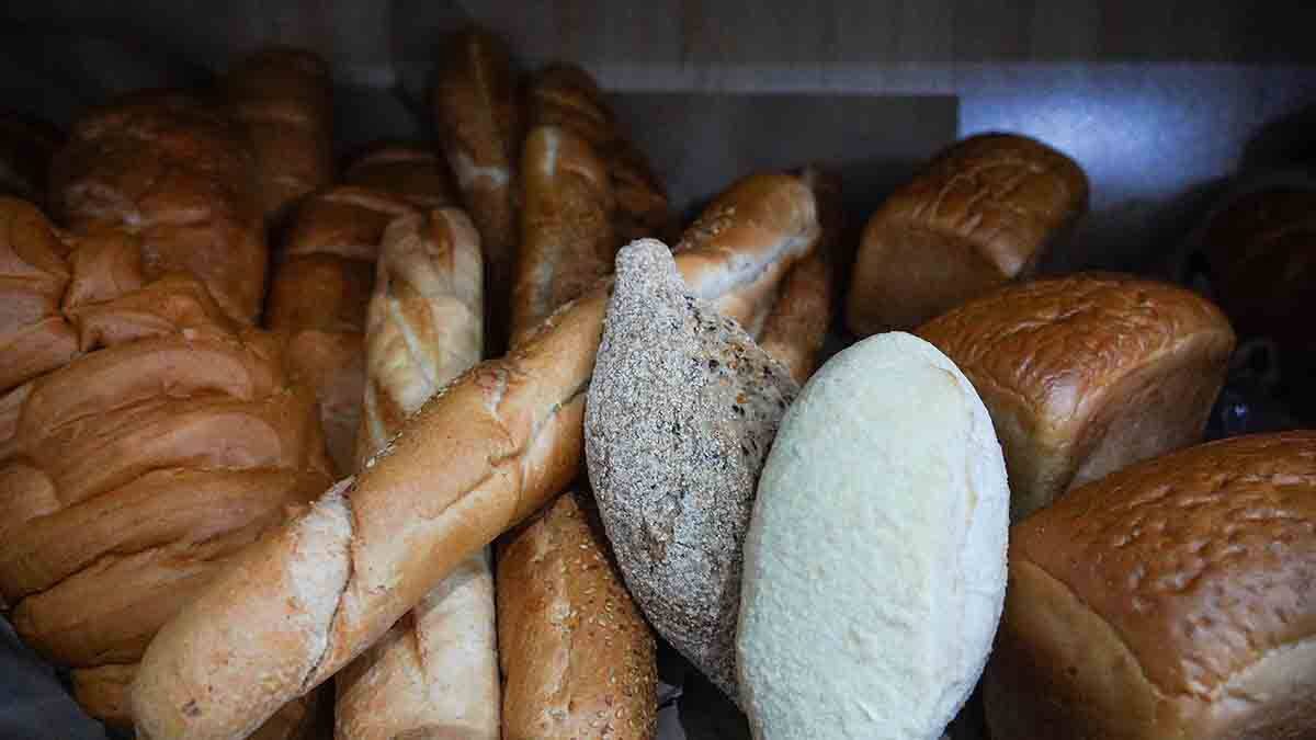    Фото: Александр Авилов / АГН Москва