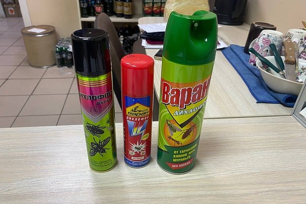 Фото: ГСУ СК России по Красноярскому краю и республике Хакасия