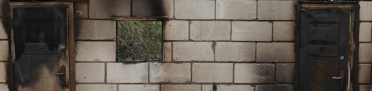    Фото: Антон Вергун