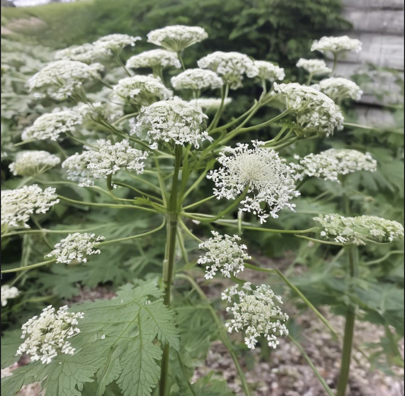 Сможете угадать название? (Изображение создано с помощью ИИ)