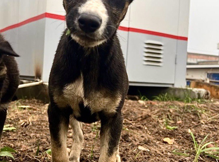 Мы не знаем, жива она или нет