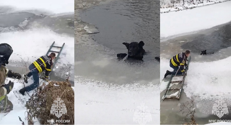 Фото: МЧС России 