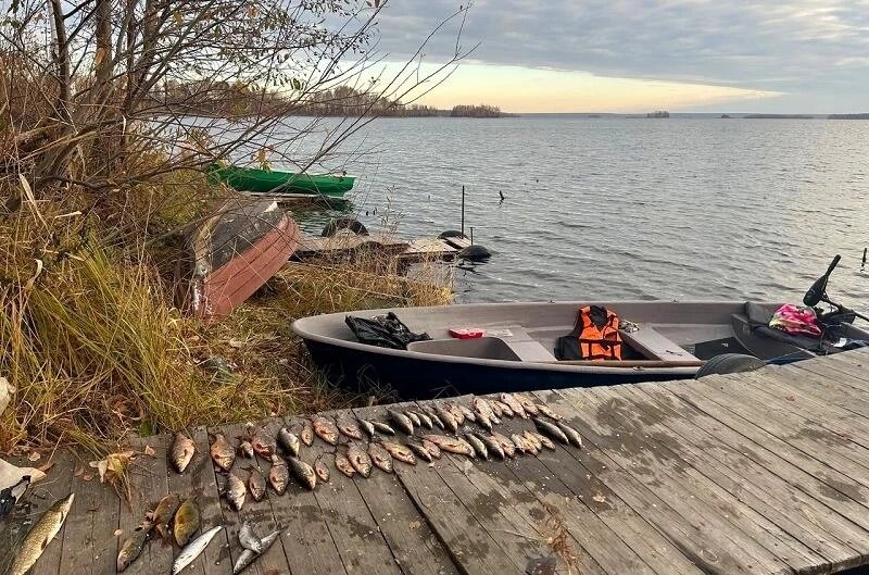 Фото: ГУ МВД России по Челябинской области