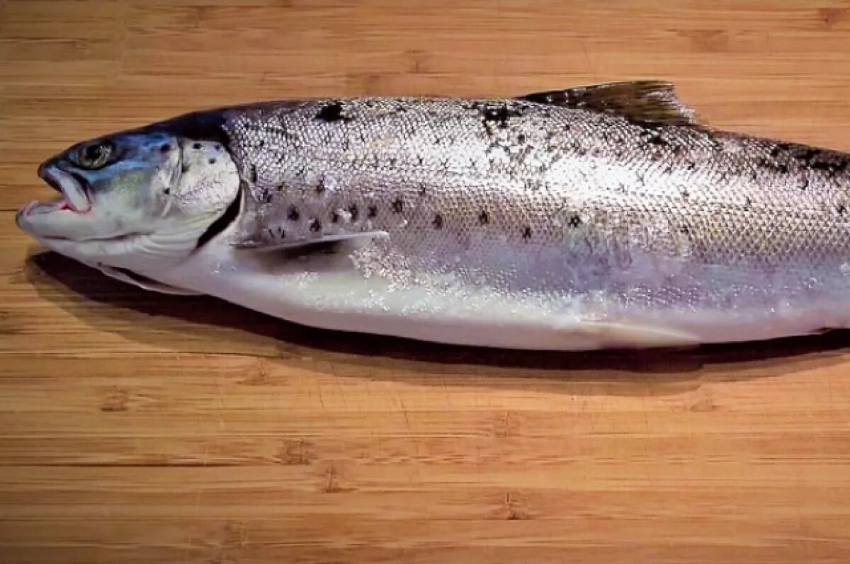    20 тонн радужной форели завезли в Новосибирск из Узбекистана