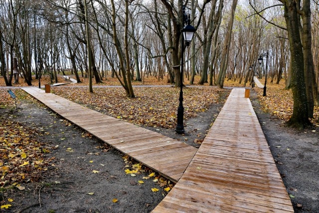   Фото из архива Калининград.Ru