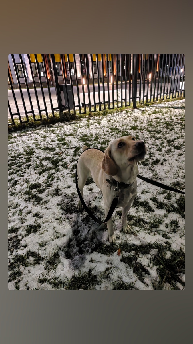 Наша красотка Ева