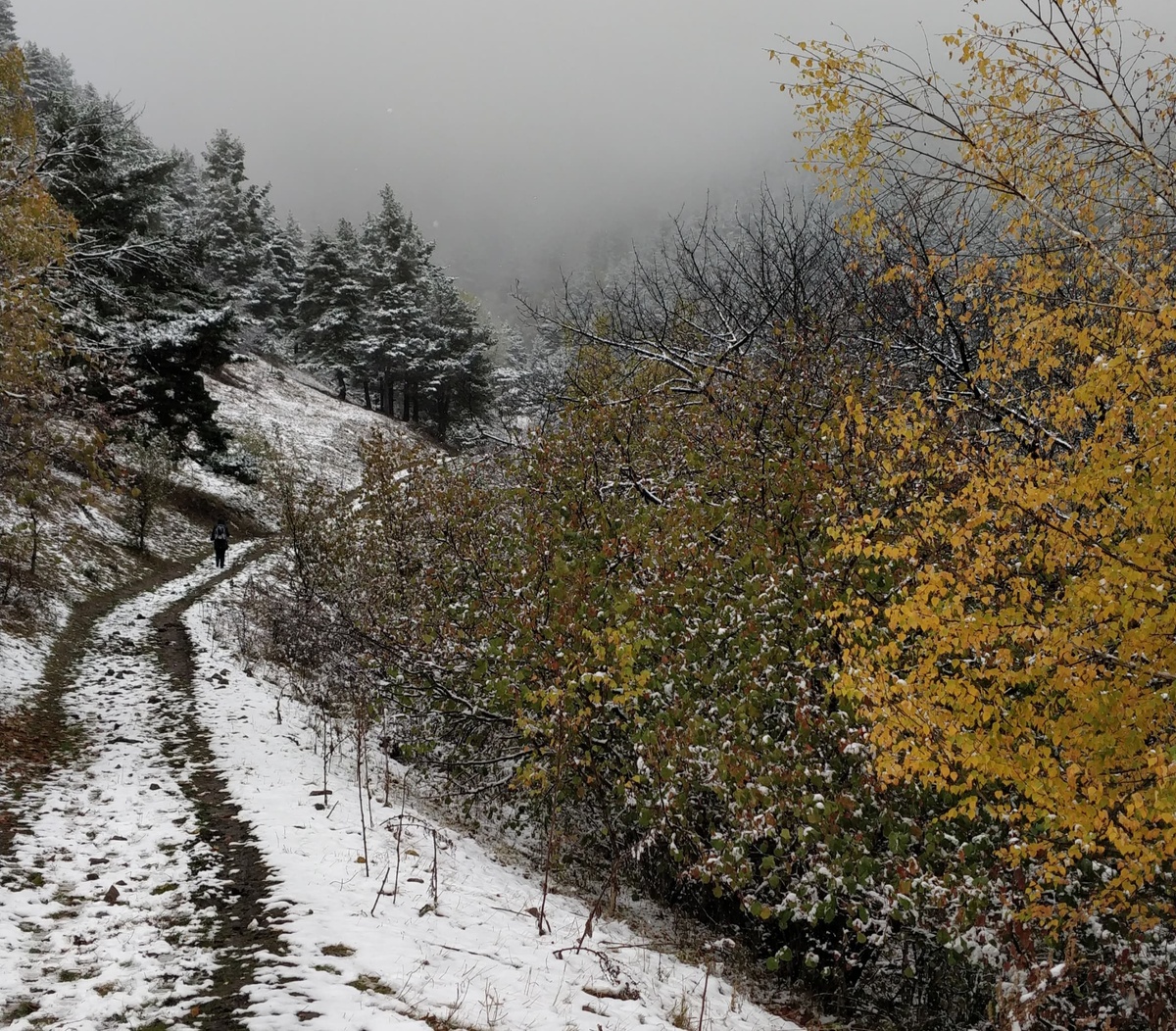 Дорога к облака