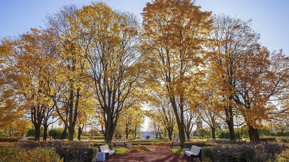     Источник: Pixabay