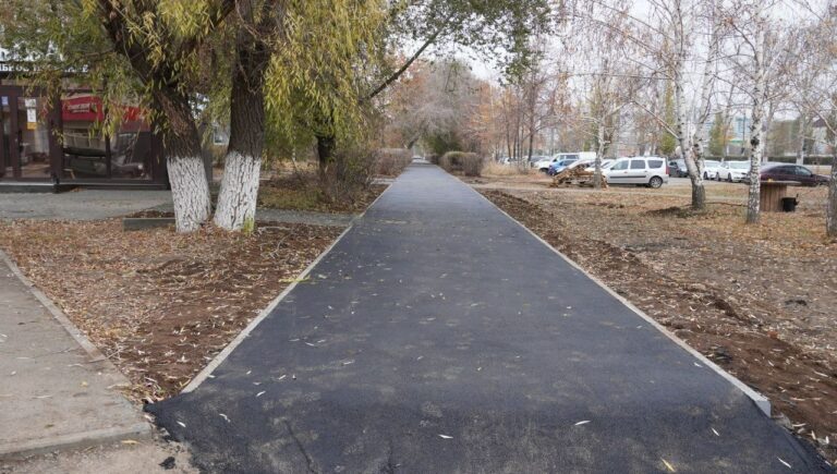    В Оренбурге на дублере улицы Терешковой и проспекте Парковом ремонтируют тротуары Кристина Просвиркина