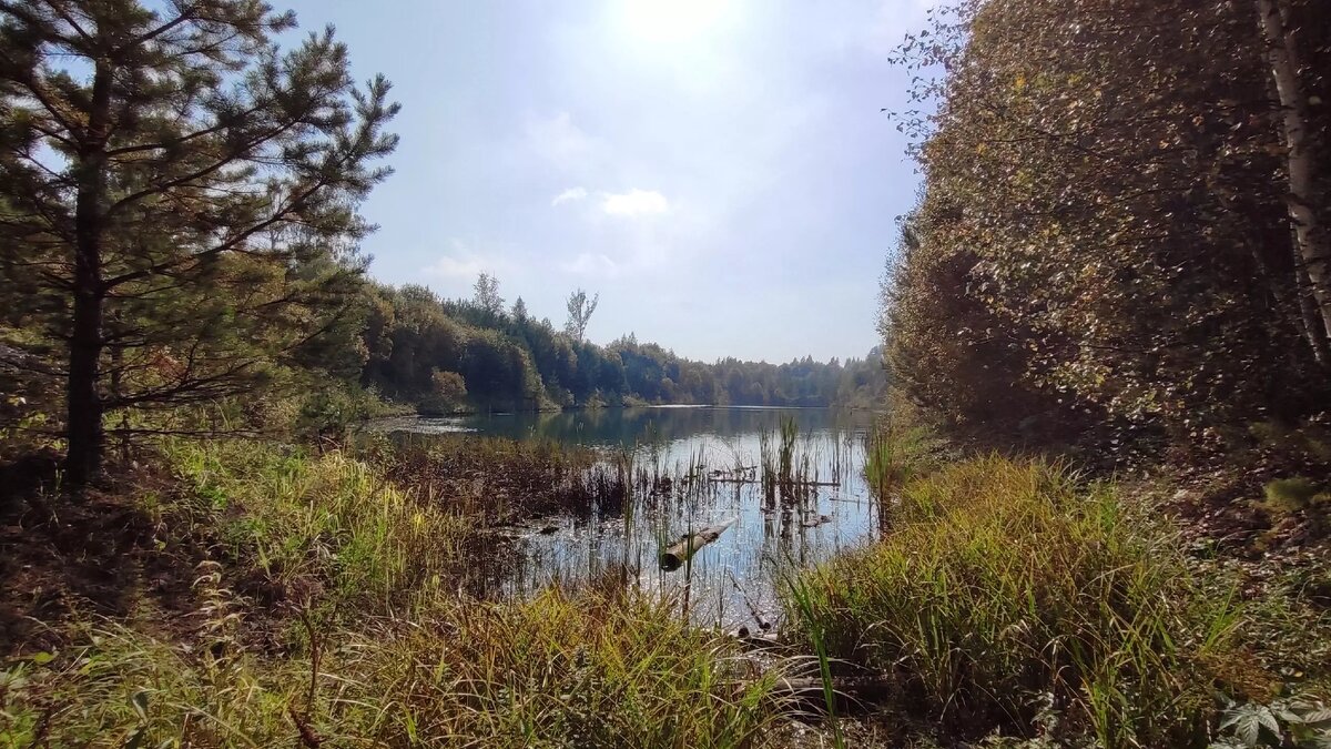     Автор: Алина Гурицкая Источник: atas.info