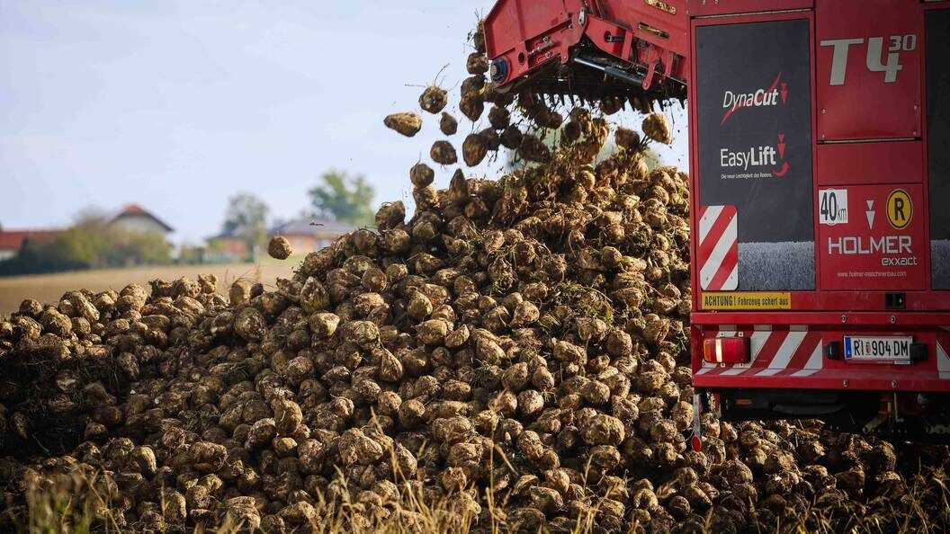    Фото: Zucke IMAGO/Daniel Scharinger/Globallookpress