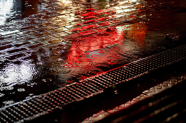 Погода в Твери 29 октября. И дождь, и солнце