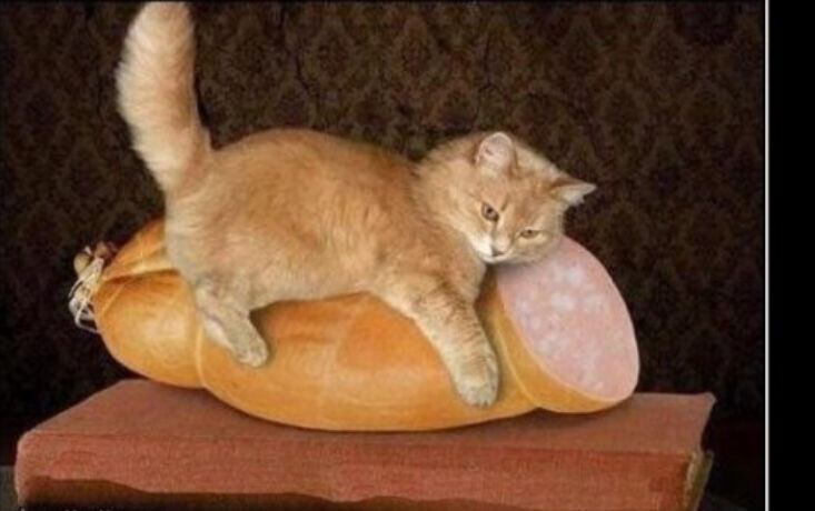 Фото из Яндекс .