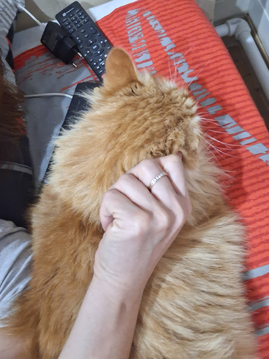 Фото автора. 