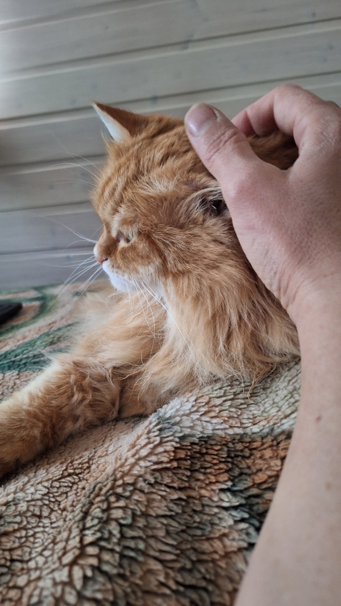 Фото автора. 