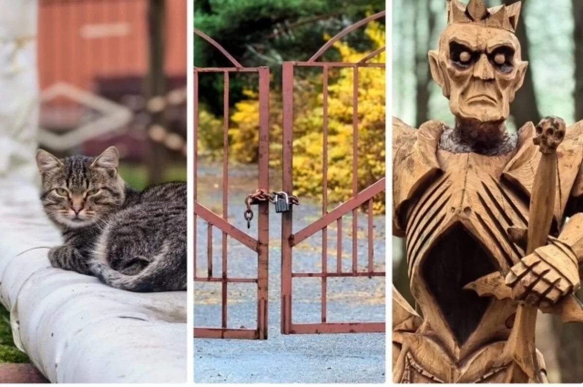    Гагарин и сказочные истуканы.