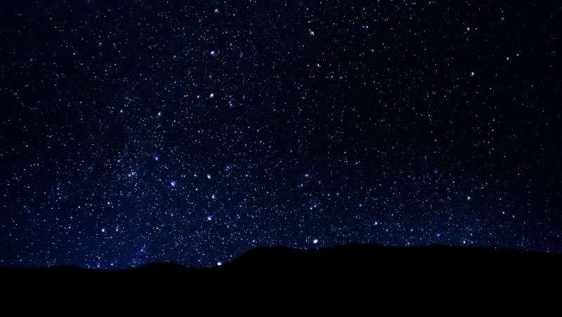 Фото: @savvapanf / freepik.com