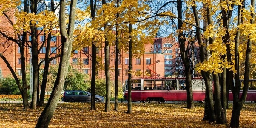    Алёна Бобрович