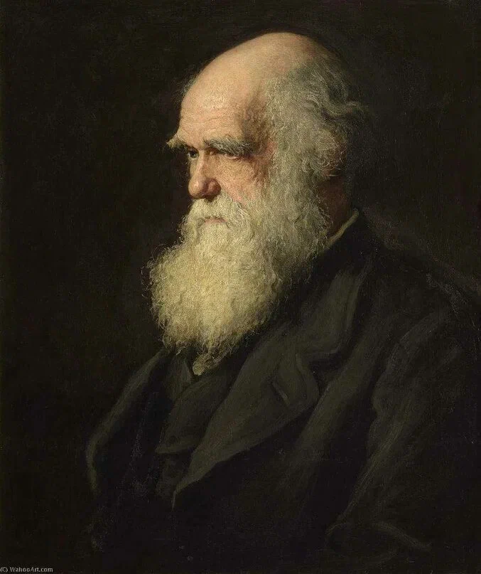 Источник: Яндекс. Картинки