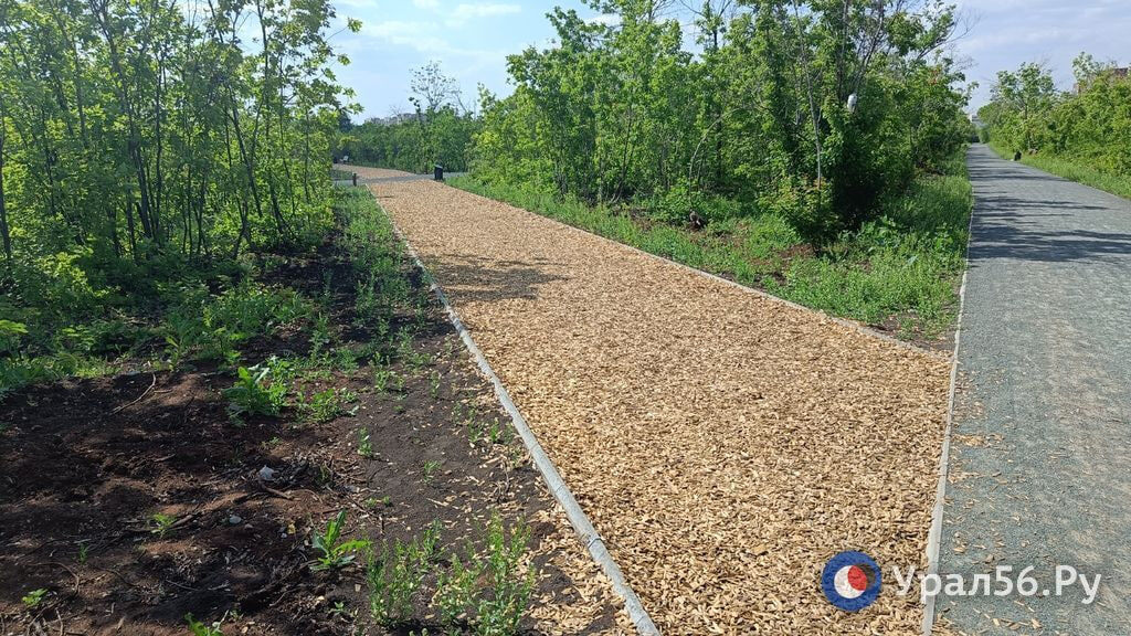    В Оренбурге в обновленном парке «Березка» пешеходные дорожки «уплыли», остались рытвины и ухабы