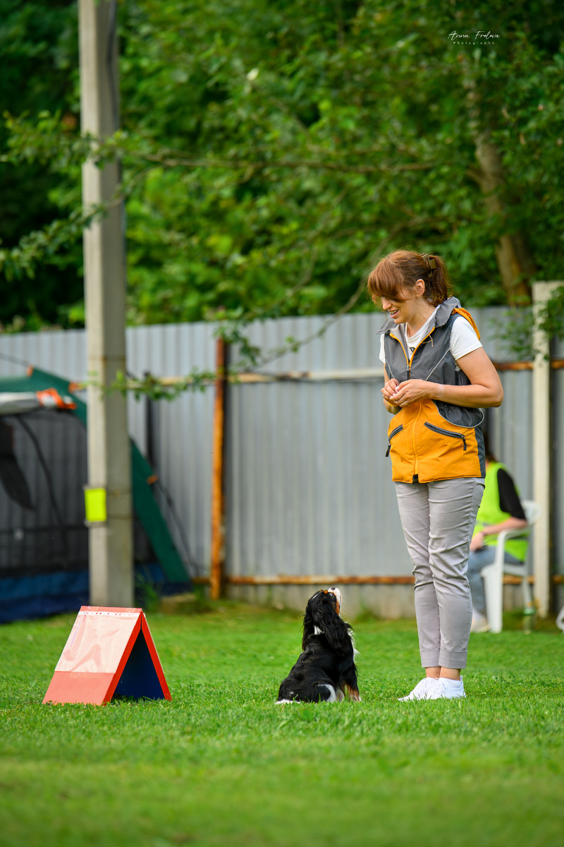 Монсоро со мной на ралли в г. Ярославль