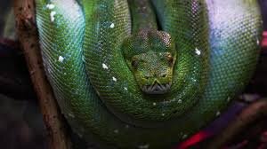 Ну, красотка же!?