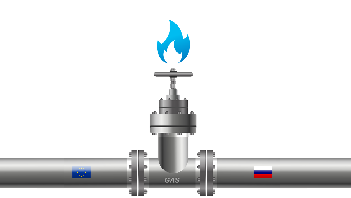     Источник: CC0 Public Domain