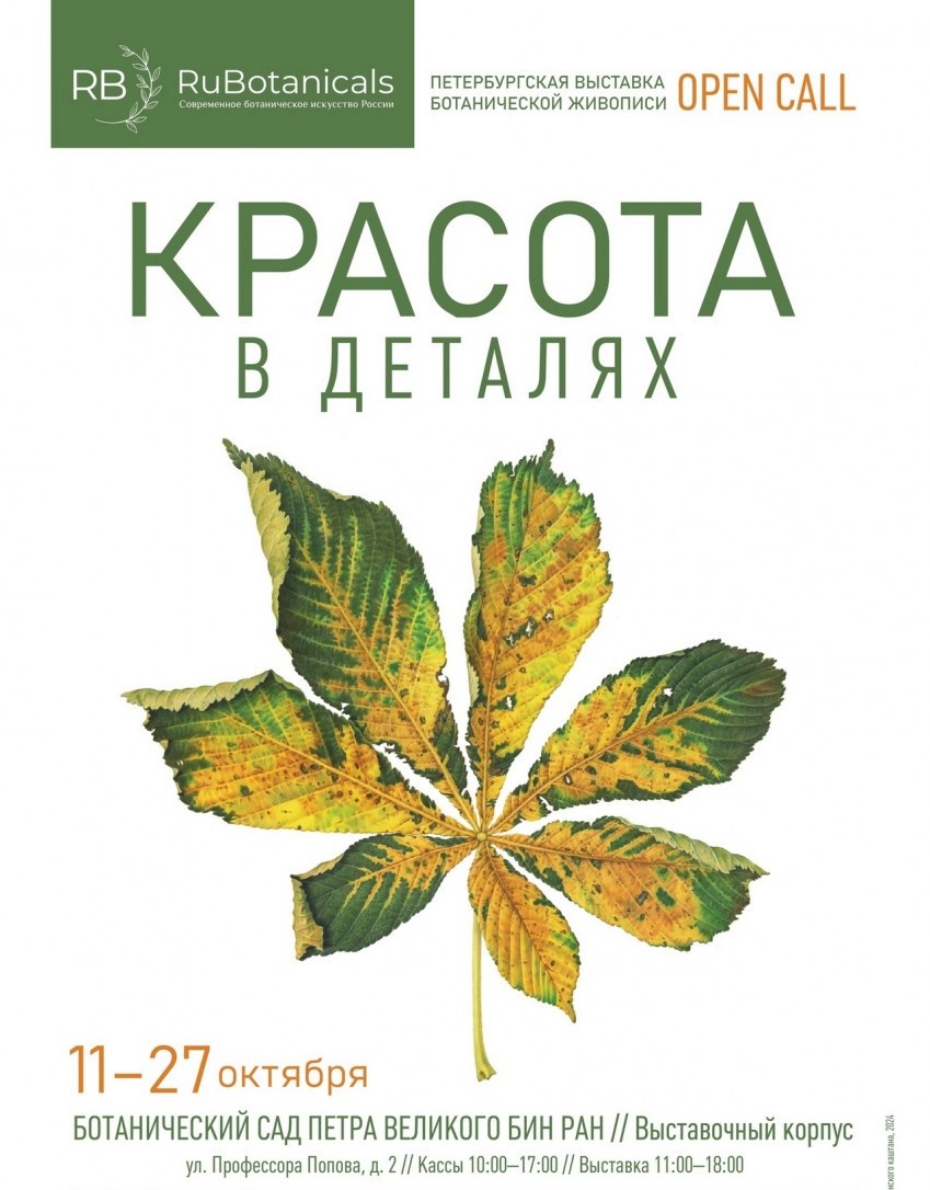 Выставка ботанической живописи "Красота в деталях"