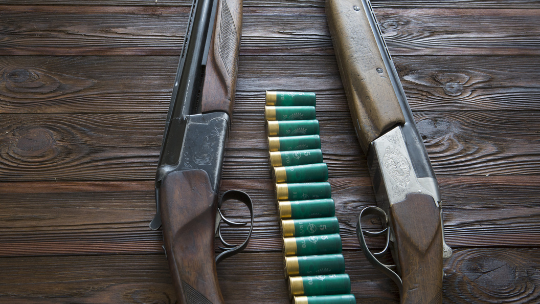    Николай Гингазов/Globallookpress